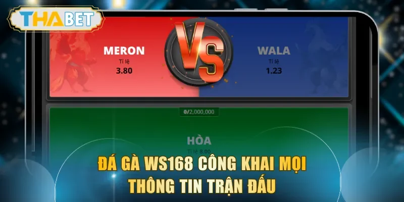 Đá gà WS168 công khai mọi thông tin trận đấu