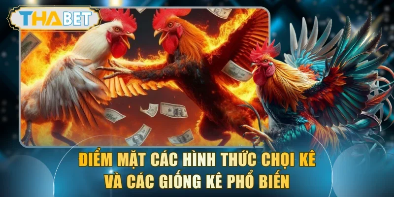 Điểm mặt các hình thức chọi kê và các giống kê phổ biến