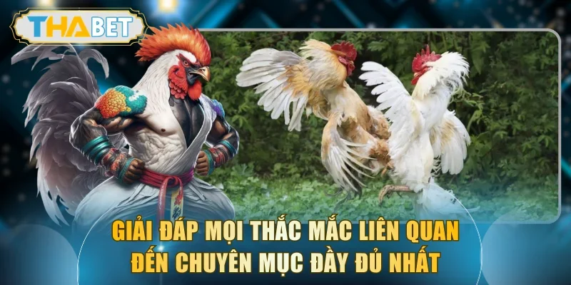 Giải đáp mọi thắc mắc liên quan đến chuyên mục đầy đủ nhất