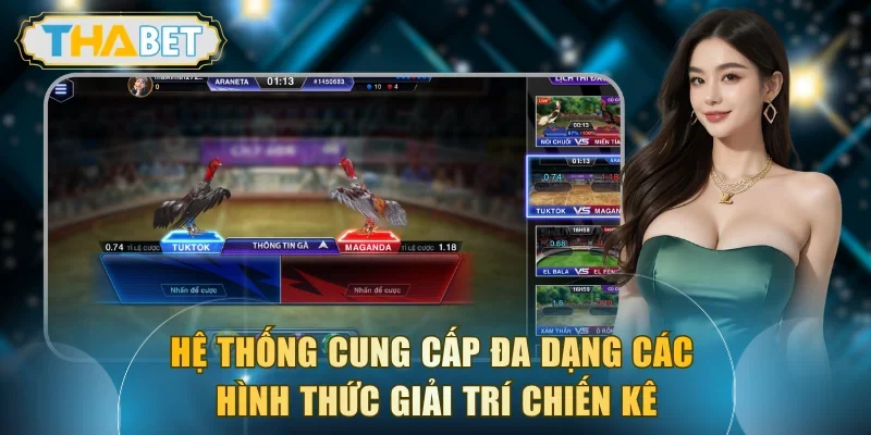 Hệ thống cung cấp đa dạng các hình thức giải trí chiến kê