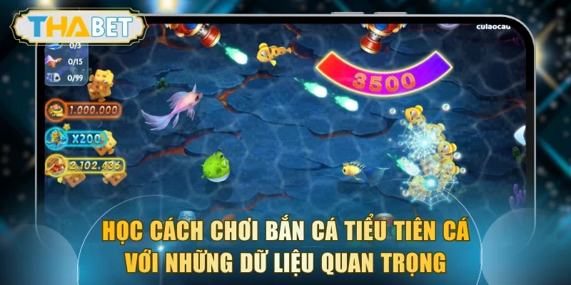 Học cách chơi bắn cá Tiểu Tiên Cá với những dữ liệu quan trọng