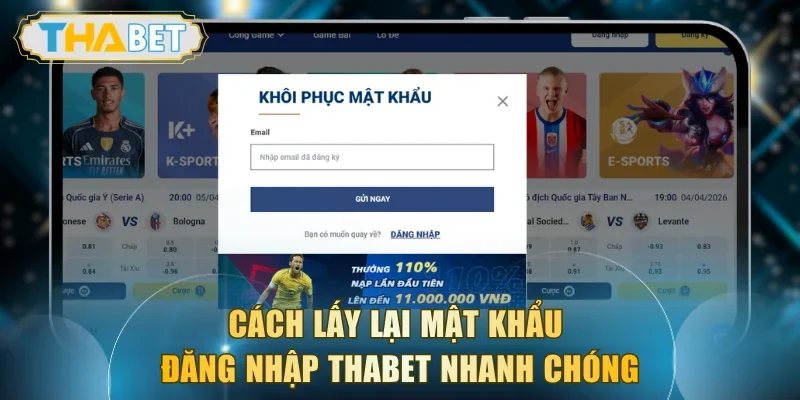 Hướng dẫn thành viên lấy lại thông tin truy cập miễn phí