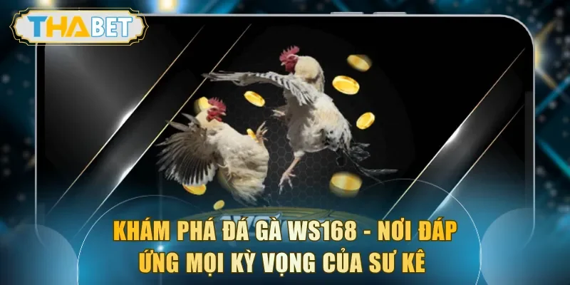Đá Gà WS168