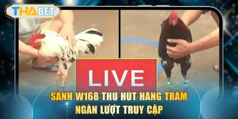 Sảnh W168 thu hút hàng trăm ngàn lượt truy cập