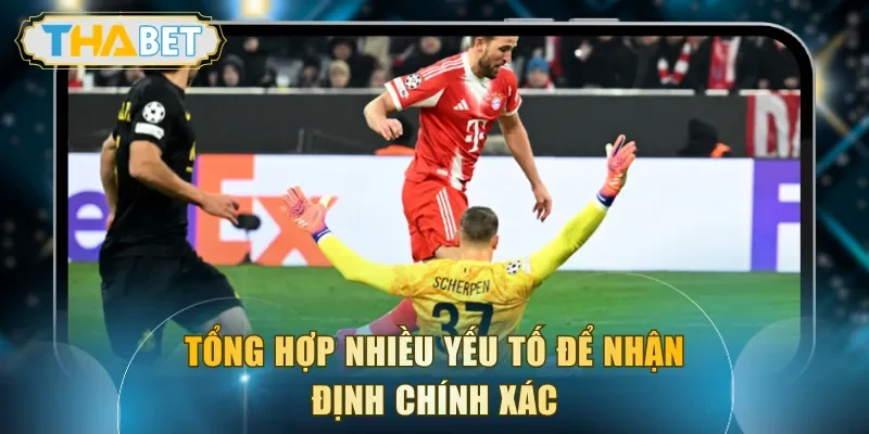 Tổng hợp nhiều yếu tố để nhận định chính xác