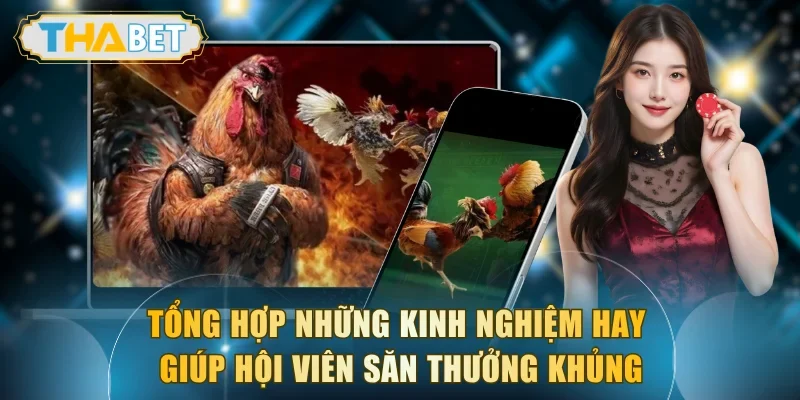 Tổng hợp những kinh nghiệm hay giúp hội viên săn thưởng khủng