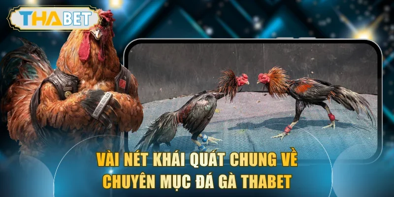 Vài nét khái quát chung về chuyên mục đá gà THABET