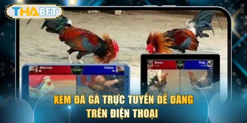 Xem đá gà trực tuyến dễ dàng trên điện thoại 